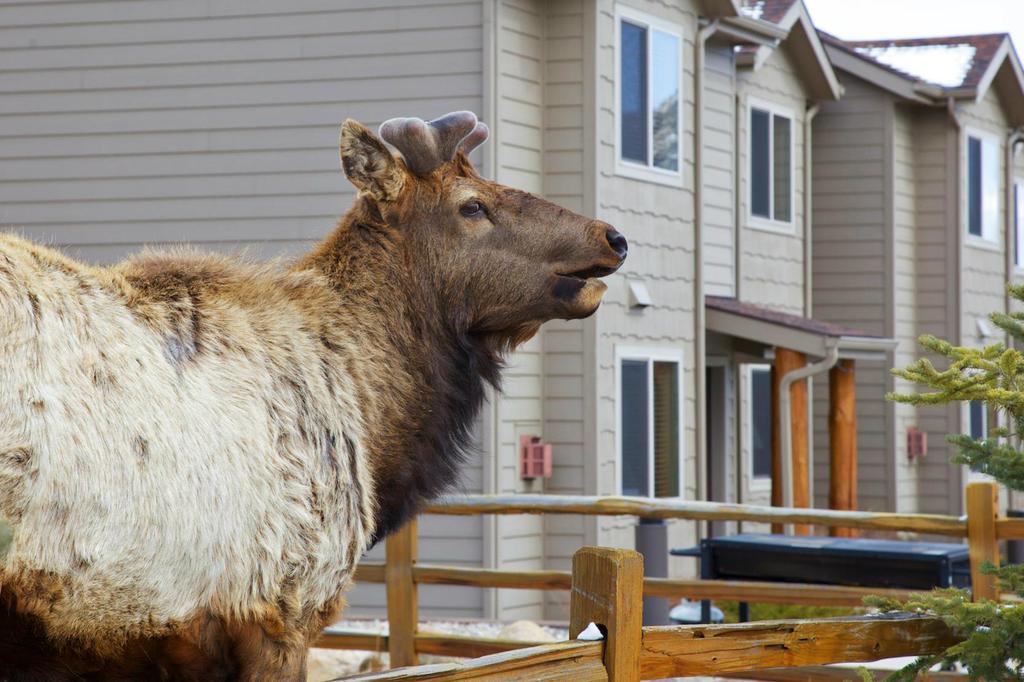 Hotel Beaver Brook On The River Estes Park Exterior foto